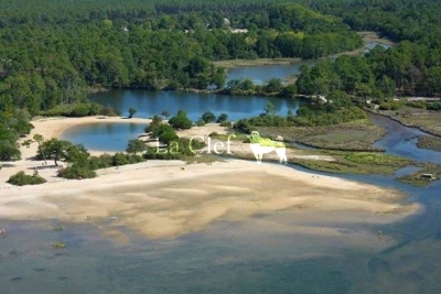 Commerce &agrave; vendre &agrave; LA TESTE-DE-BUCH   - 410 m&sup2; 