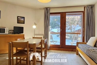Appartement &agrave; vendre montagne 