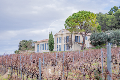 Maison &agrave; vendre vignes oliviers vaucluse 