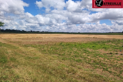 terrain &agrave; vendre &agrave; TESSON    