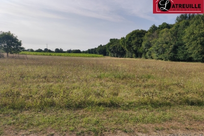 terrain &agrave; vendre &agrave; MAZEROLLES    