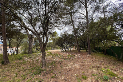 terrain &agrave; vendre &agrave; ST-GELY-DU-FESC   - 1019 m&sup2; 