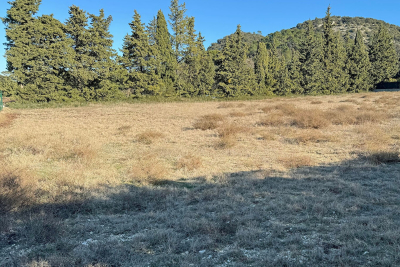 terrain &agrave; vendre 188 3 