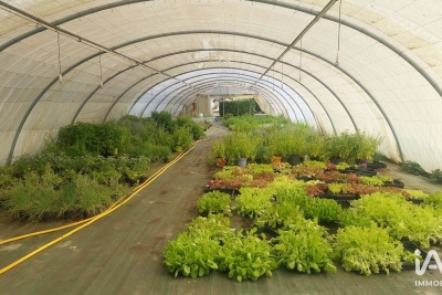 Commerce &agrave; vendre &agrave; ST-MAGNE-DE-CASTILLON Arlac 1  - 800 m&sup2; 