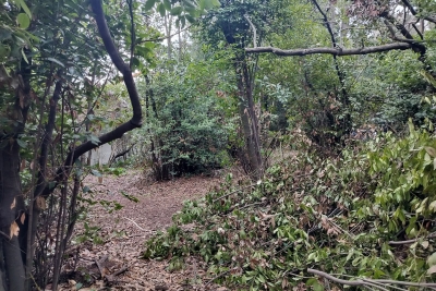 terrain &agrave; vendre &agrave; SÈTE    