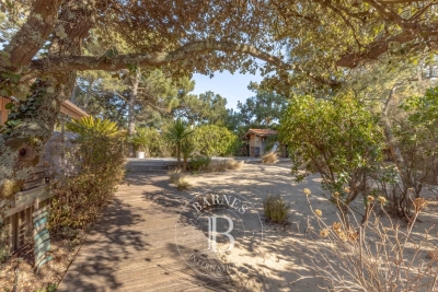 Villa in Lege Cap Ferret for rental from 9 250 € / week, Photo 17