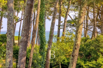 Villa in Cap Ferret for rental from 14 400 € / week, Photo 6