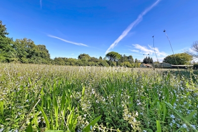 terrain &agrave; vendre &agrave; CHATEAUNEUF-DE-GADAGNE    