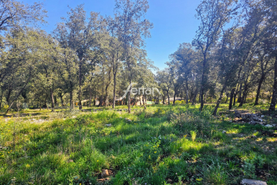 terrain &agrave; vendre ferran 