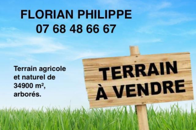 terrain &agrave; vendre &agrave; LA DOMINELAIS   - 34900 m&sup2; 