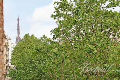 Appartement &agrave; vendre &agrave; PARIS 15EME  - 2 pi&egrave;ces - 60 m&sup2; 