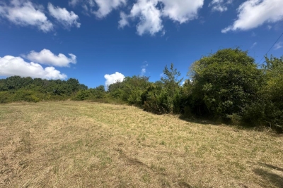 terrain &agrave; vendre &agrave; BOUGLON   - 5060 m&sup2; 