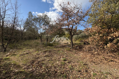 terrain &agrave; vendre ferran 