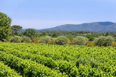 Maison &agrave; vendre &agrave; LE CANNET-DES-MAURES  - 14 pi&egrave;ces - 815 m&sup2; 