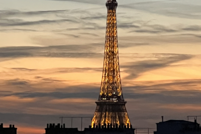 Appartement &agrave; vendre champ de mars paris 7eme 