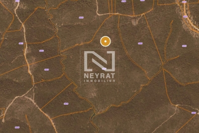 terrain &agrave; vendre &agrave; CALLIAN   - 110000 m&sup2; 