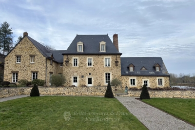 Maison &agrave; vendre &agrave; immobilier CHATEAU GONTIER  - 17 pi&egrave;ces - 480 m&sup2; 