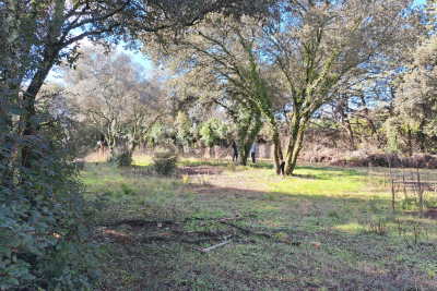 terrain &agrave; vendre terrain batir gard 