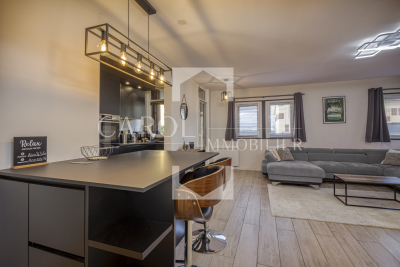 Appartement &agrave; vendre &agrave; ANNECY  - 2 pi&egrave;ces - 57 m&sup2; 