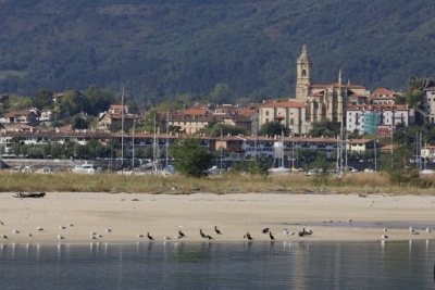 Commerce &agrave; vendre &agrave; HENDAYE  - 4 pi&egrave;ces - 133 m&sup2; 