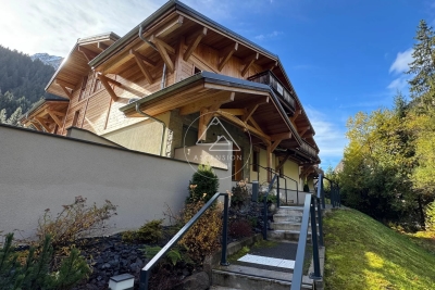 Appartement &agrave; vendre &agrave; MORZINE  - 1 pi&egrave;ces - 20 m&sup2; 