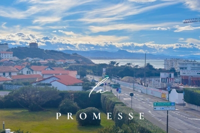 Appartement à vendre ocean vue 1