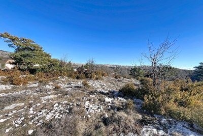 terrain &agrave; vendre &agrave; immobilier CAUSSOLS   - 3223 m&sup2; 