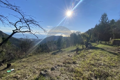 terrain &agrave; vendre 1 hectare 