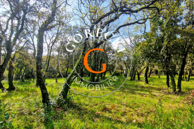 terrain &agrave; vendre &agrave; ST-SIFFRET   - 937 m&sup2; 