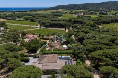 Villa à Ramatuelle &agrave; louer à partir de 27 000 € / semaine, Photo 1