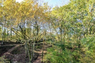 Maison &agrave; vendre &agrave; ARBONNE  - 7 pi&egrave;ces - 275 m&sup2; 