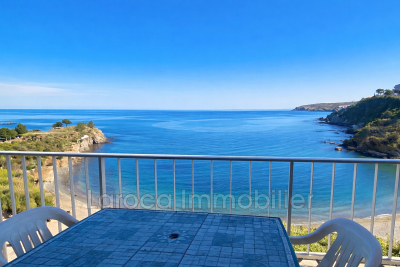 Appartement &agrave; vendre &agrave; BANYULS SUR MER  - 3 pi&egrave;ces - 44 m&sup2; 