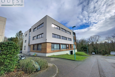 Commerce &agrave; vendre &agrave; DARDILLY Stalingrad  - 375 m&sup2; 