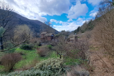 Maison &agrave; vendre &agrave; ST-ANDRE-DE-MAJENCOULES  - 3 pi&egrave;ces - 44 m&sup2; 