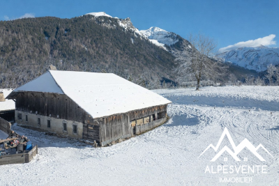 Maison &agrave; vendre &agrave; MORZINE  - 6 pi&egrave;ces - 480 m&sup2; 