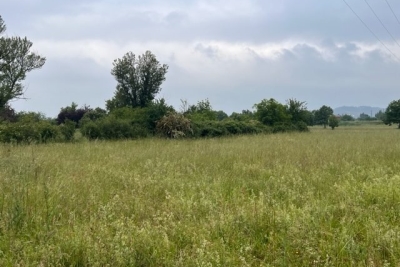 terrain &agrave; vendre &agrave; ROMANS-SUR-ISÈRE   - 750 m&sup2; 