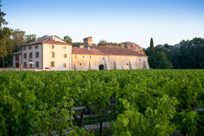 Maison &agrave; vendre &agrave; Chateauneuf-du-Pape  - 20 pi&egrave;ces 729 m&sup2; 