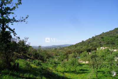 terrain &agrave; vendre &agrave; GRIMAUD   - 6922 m&sup2; 
