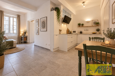 Appartement &agrave; vendre vieil antibes antibes 