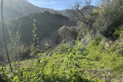 terrain &agrave; vendre &agrave; GORBIO   - 1041 m&sup2; 