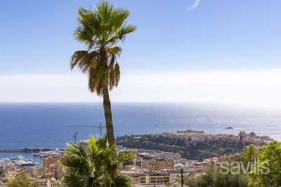 Villa à Beausoleil &agrave; louer à partir de 18 000 € / semaine, Photo 18