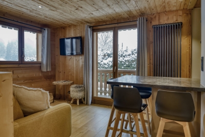 Appartement &agrave; vendre &agrave; DEMI-QUARTIER Chedde-Les Plagnes - 1 pi&egrave;ces - 24 m&sup2; 