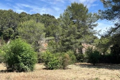 terrain &agrave; vendre &agrave; MOUGINS   - 4996 m&sup2; 