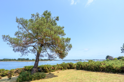 Maison &agrave; vendre &agrave; immobilier PLOUHINEC  - 9 pi&egrave;ces - 266 m&sup2; 