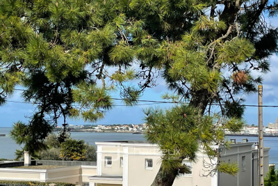 Maison &agrave; vendre &agrave; ST GEORGES DE DIDONNE  - 5 pi&egrave;ces - 132 m&sup2; 