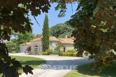 Maison &agrave; vendre &agrave; immobilier BUZET SUR BAIZE  - 28 pi&egrave;ces - 1588 m&sup2; 