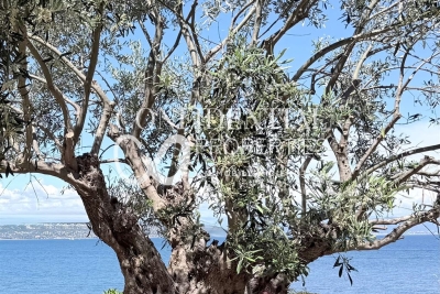 Maison &agrave; vendre &agrave; ST-TROPEZ  - 8 pi&egrave;ces - 415 m&sup2; 