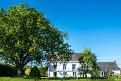 Maison &agrave; vendre &agrave; MESANGER Malakoff - 10 pi&egrave;ces - 229 m&sup2; 