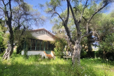Maison &agrave; vendre &agrave; ANTIBES  - 3 pi&egrave;ces - 80 m&sup2; 