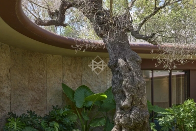 Villa à Ramatuelle &agrave; louer à partir de 135 000 € / semaine, Photo 18